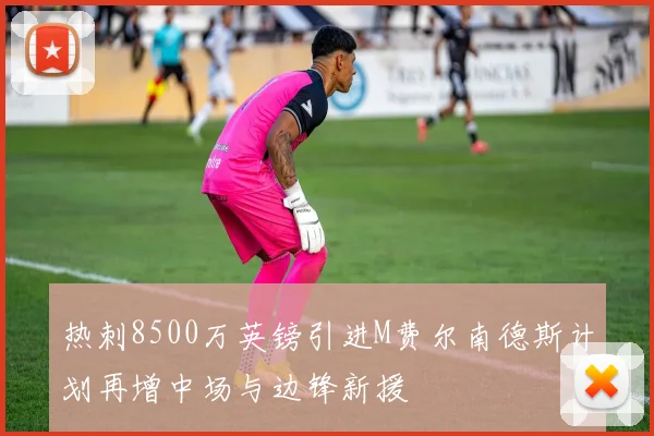热刺8500万英镑引进M费尔南德斯计划再增中场与边锋新援