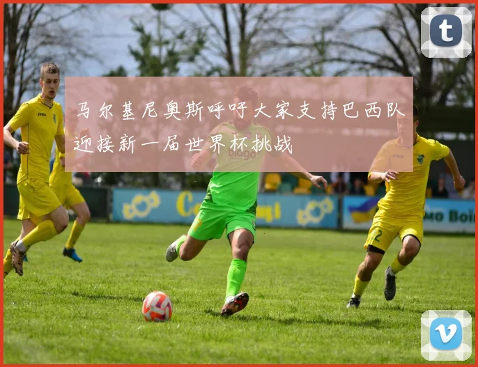 马尔基尼奥斯呼吁大家支持巴西队迎接新一届世界杯挑战